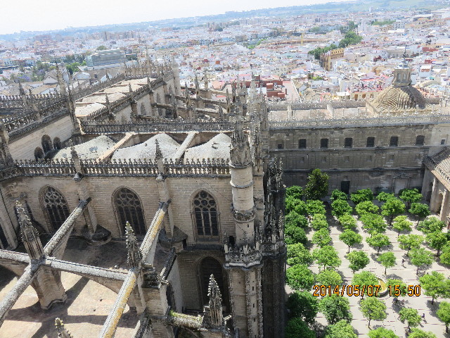 ファイル 4307-5.jpg