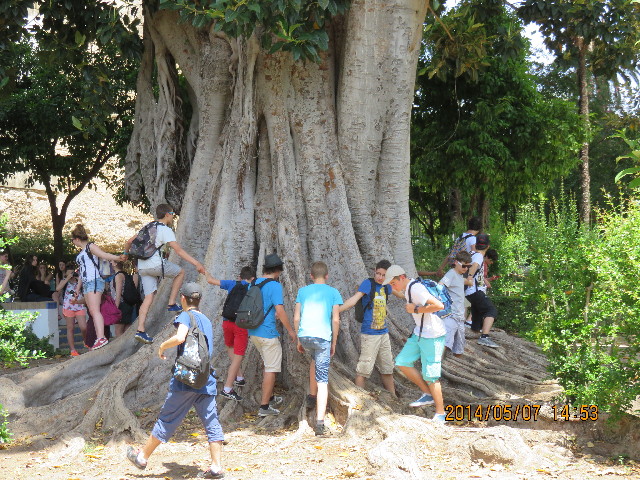 ファイル 4308-1.jpg