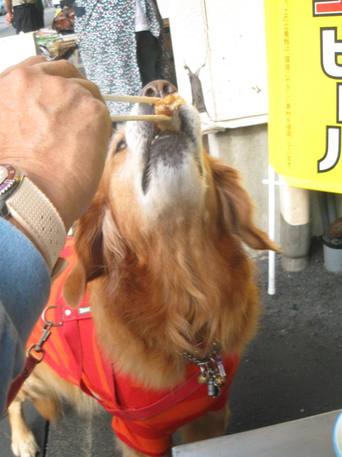 ファイル 431-4.jpg