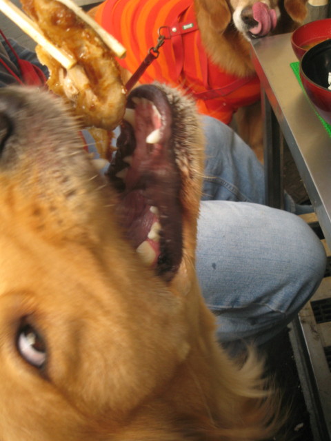 ファイル 431-5.jpg