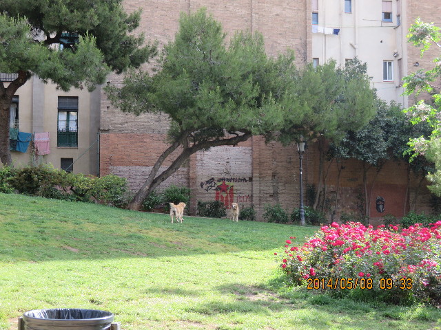 ファイル 4312-1.jpg