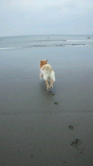 ファイル 4317-2.jpg