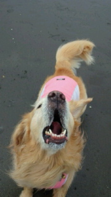 ファイル 4317-4.jpg