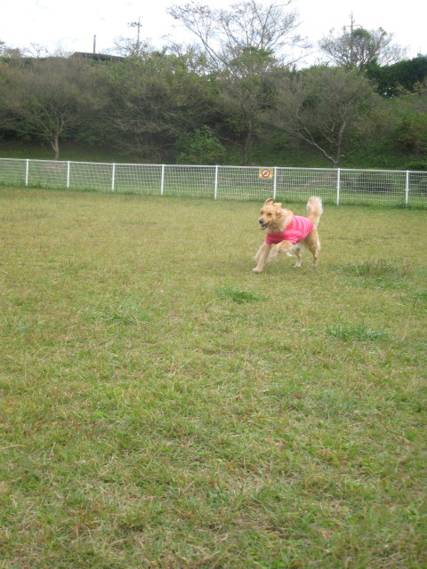 ファイル 432-1.jpg