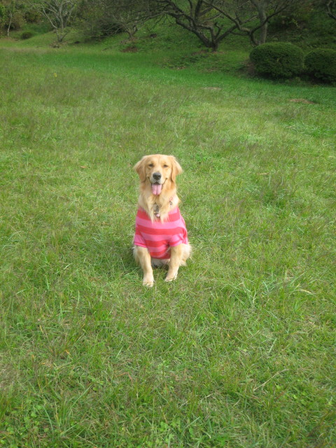 ファイル 432-4.jpg