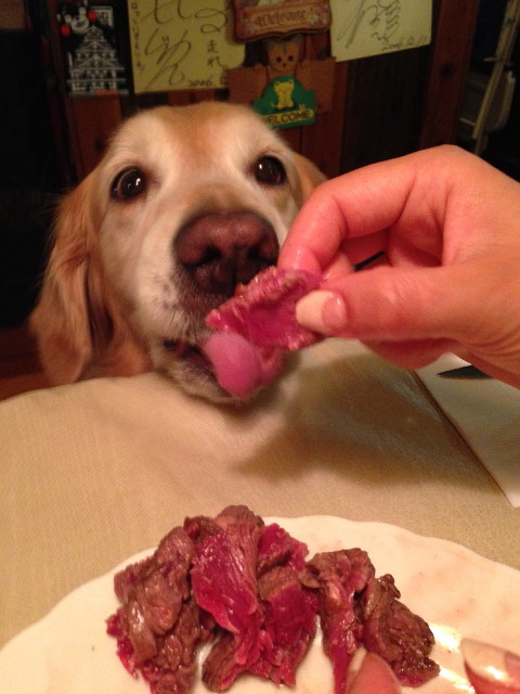 ファイル 4323-3.jpg