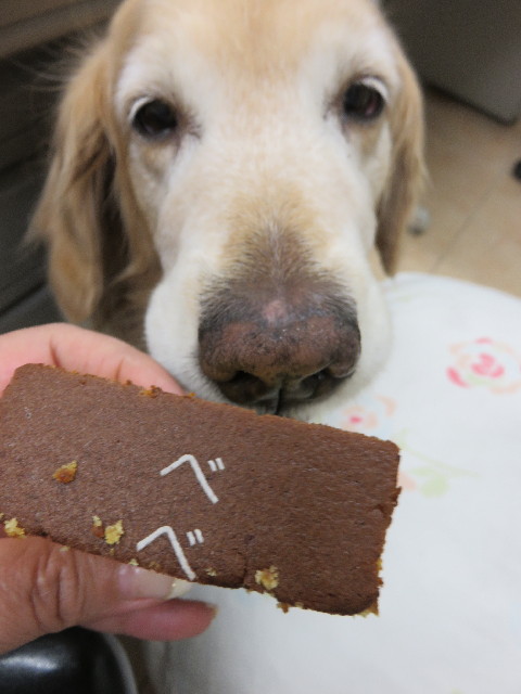 ファイル 4323-5.jpg