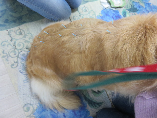 ファイル 4326-2.jpg