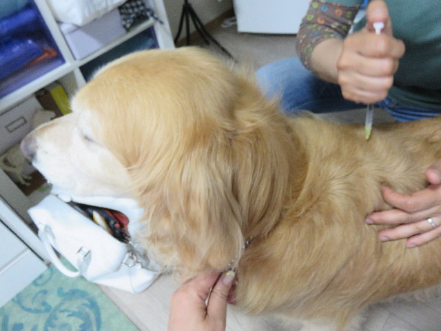 ファイル 4326-3.jpg