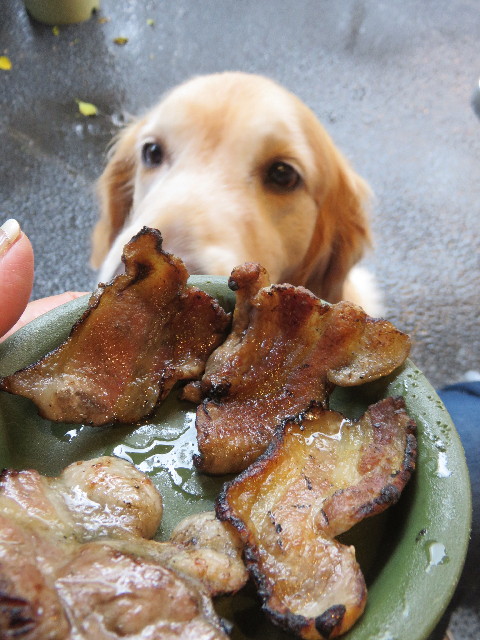 ファイル 4326-5.jpg