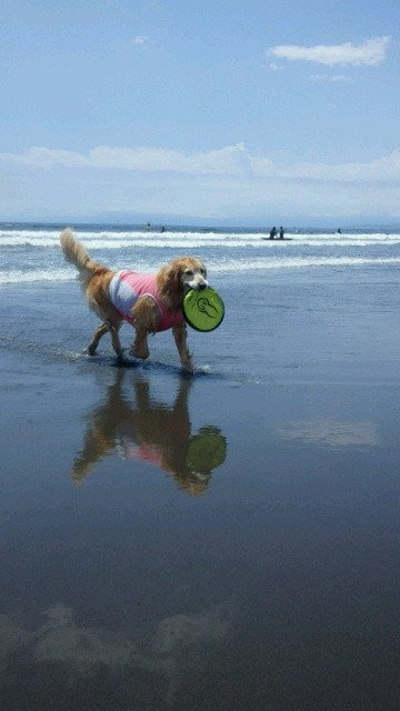 ファイル 4327-1.jpg