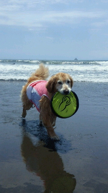 ファイル 4327-3.jpg