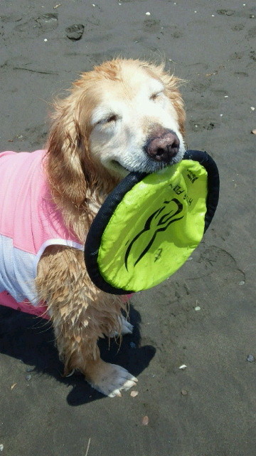 ファイル 4327-4.jpg