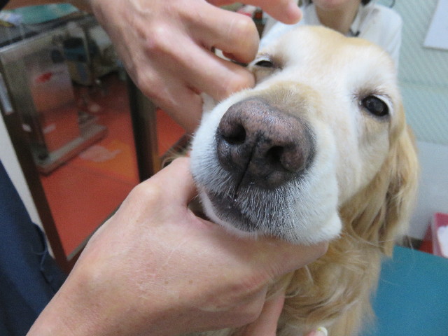 ファイル 4330-2.jpg