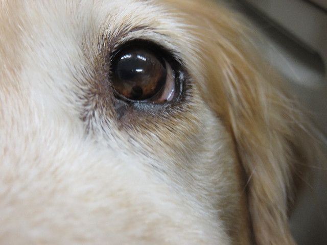 ファイル 4330-4.jpg