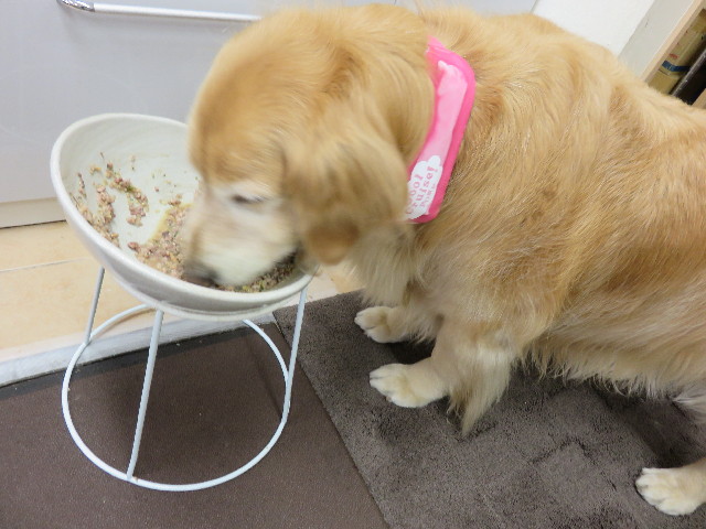 ファイル 4330-5.jpg