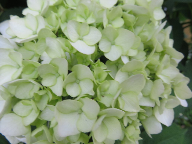 ファイル 4331-4.jpg