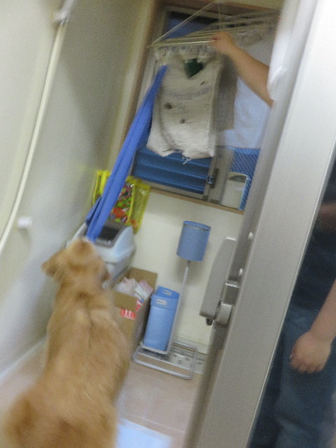 ファイル 4333-4.jpg