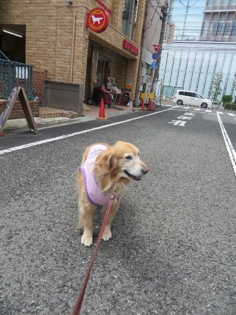 ファイル 4335-1.jpg