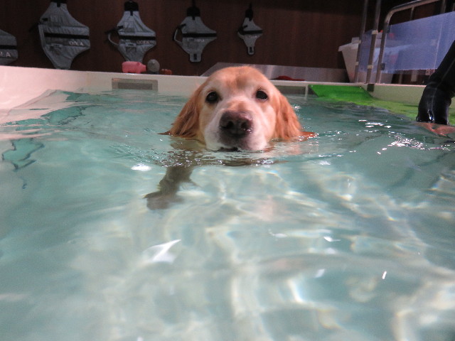 ファイル 4336-1.jpg