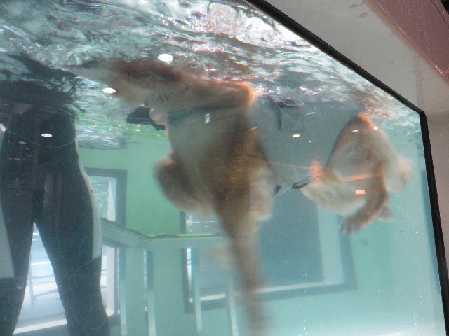 ファイル 4336-2.jpg