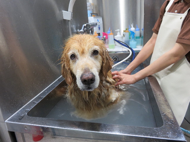 ファイル 4336-4.jpg