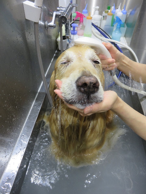 ファイル 4336-5.jpg