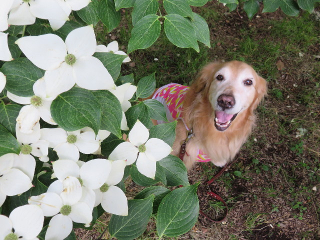 ファイル 4340-3.jpg