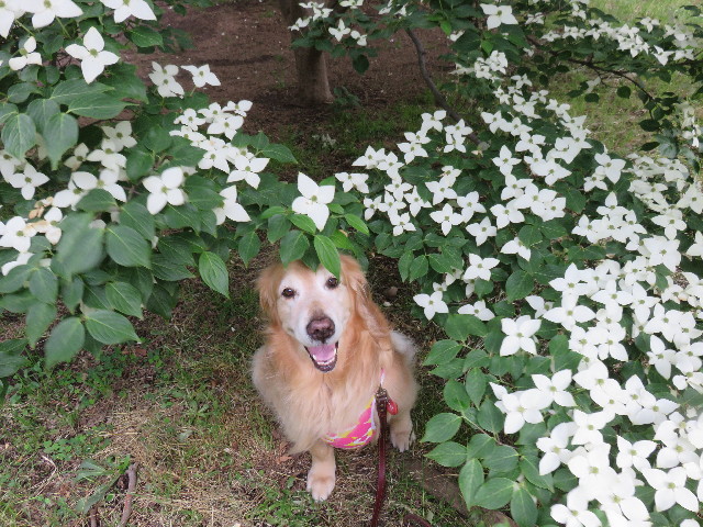 ファイル 4340-4.jpg