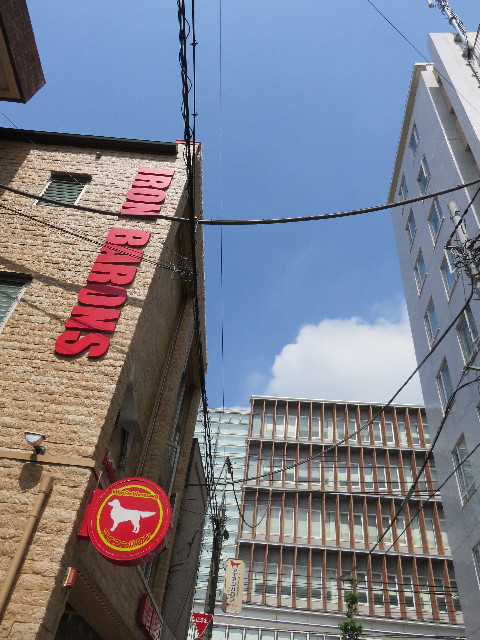 ファイル 4343-1.jpg