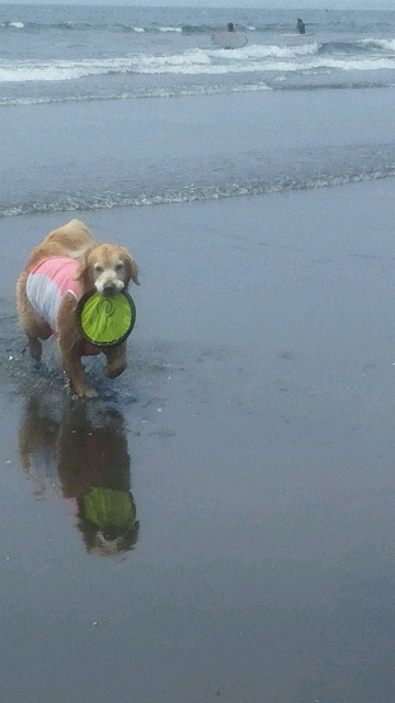 ファイル 4343-3.jpg