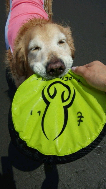 ファイル 4343-4.jpg