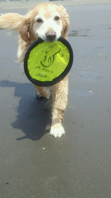 ファイル 4343-5.jpg