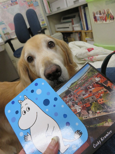 ファイル 4344-2.jpg