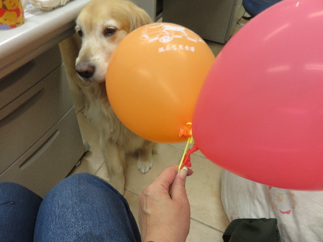 ファイル 4344-3.jpg