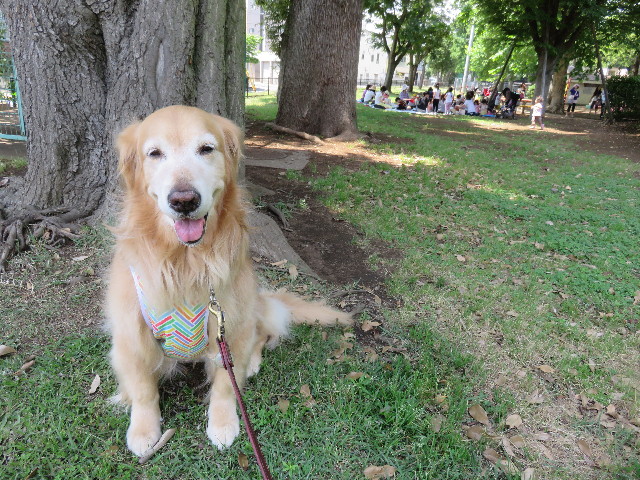 ファイル 4344-4.jpg