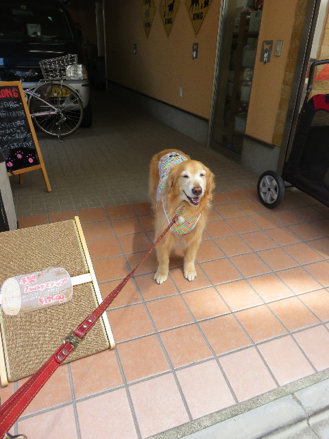 ファイル 4346-2.jpg