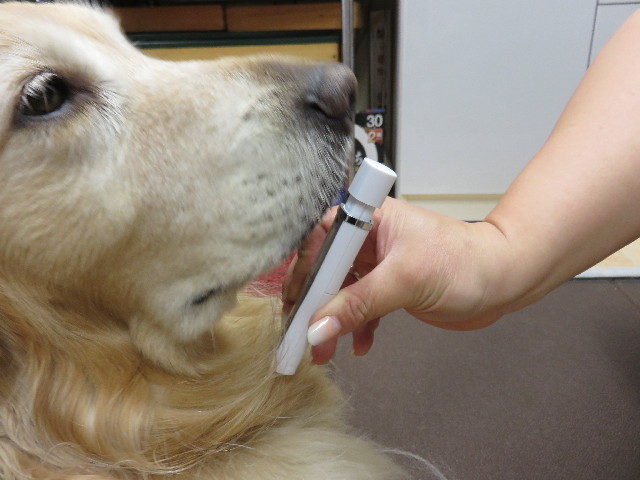 ファイル 4347-1.jpg