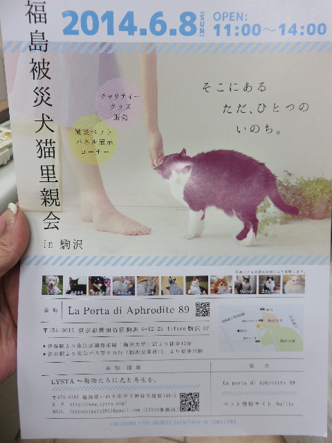 ファイル 4347-5.jpg