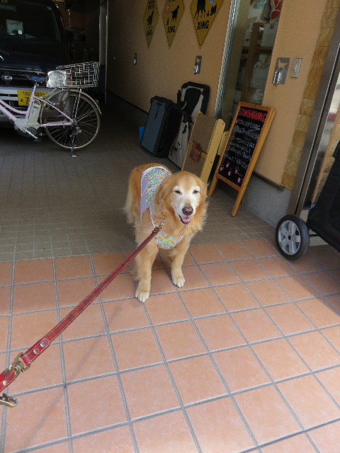 ファイル 4348-2.jpg