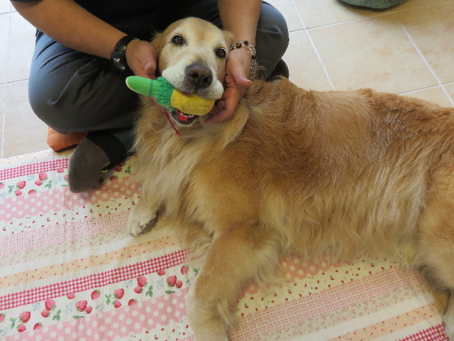 ファイル 4348-5.jpg