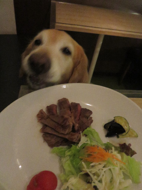 ファイル 4351-5.jpg