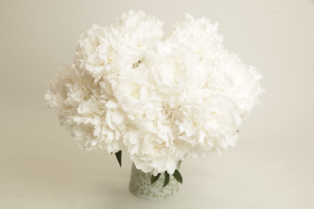 ファイル 4352-1.jpg