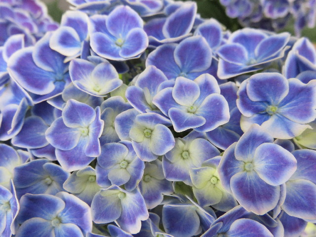 ファイル 4353-2.jpg