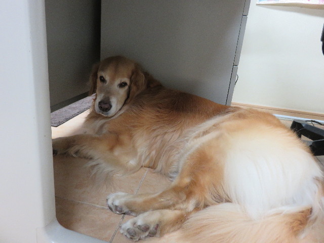 ファイル 4353-5.jpg