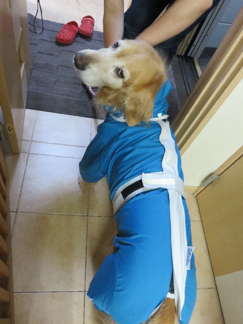 ファイル 4355-2.jpg