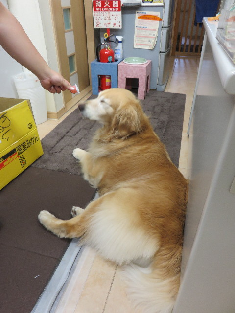 ファイル 4355-4.jpg