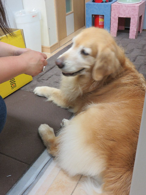 ファイル 4355-5.jpg