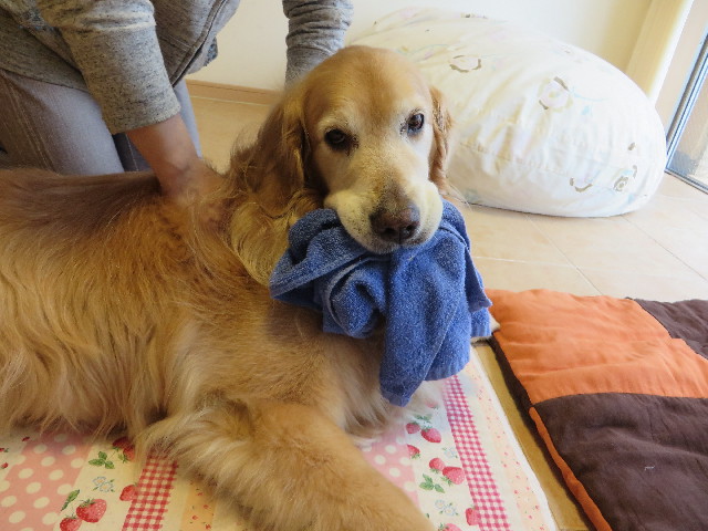 ファイル 4356-4.jpg