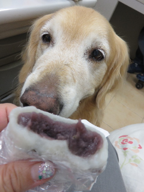 ファイル 4358-2.jpg